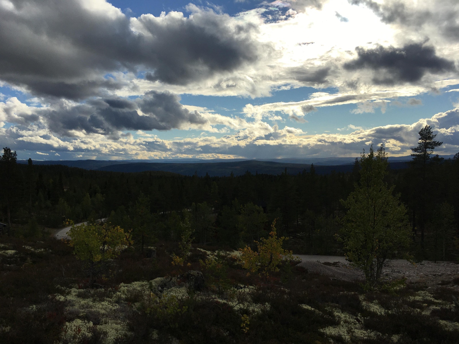 Ledige tomt Galleribilde