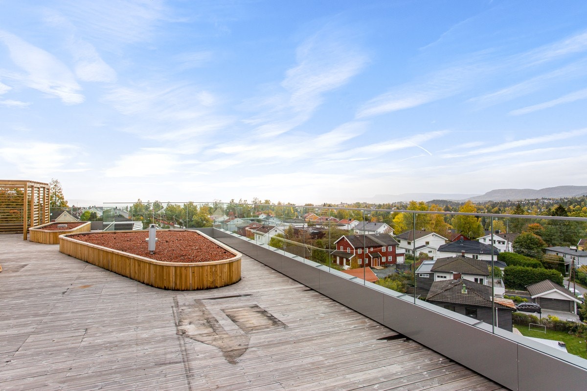 Felles takterrasse Galleribilde
