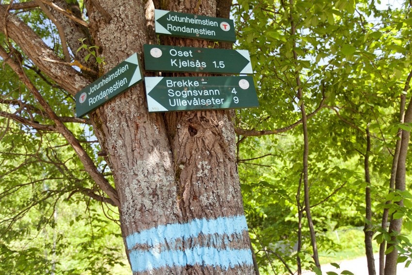 Turmulighetene er mange og rett utenfor døren. Galleribilde