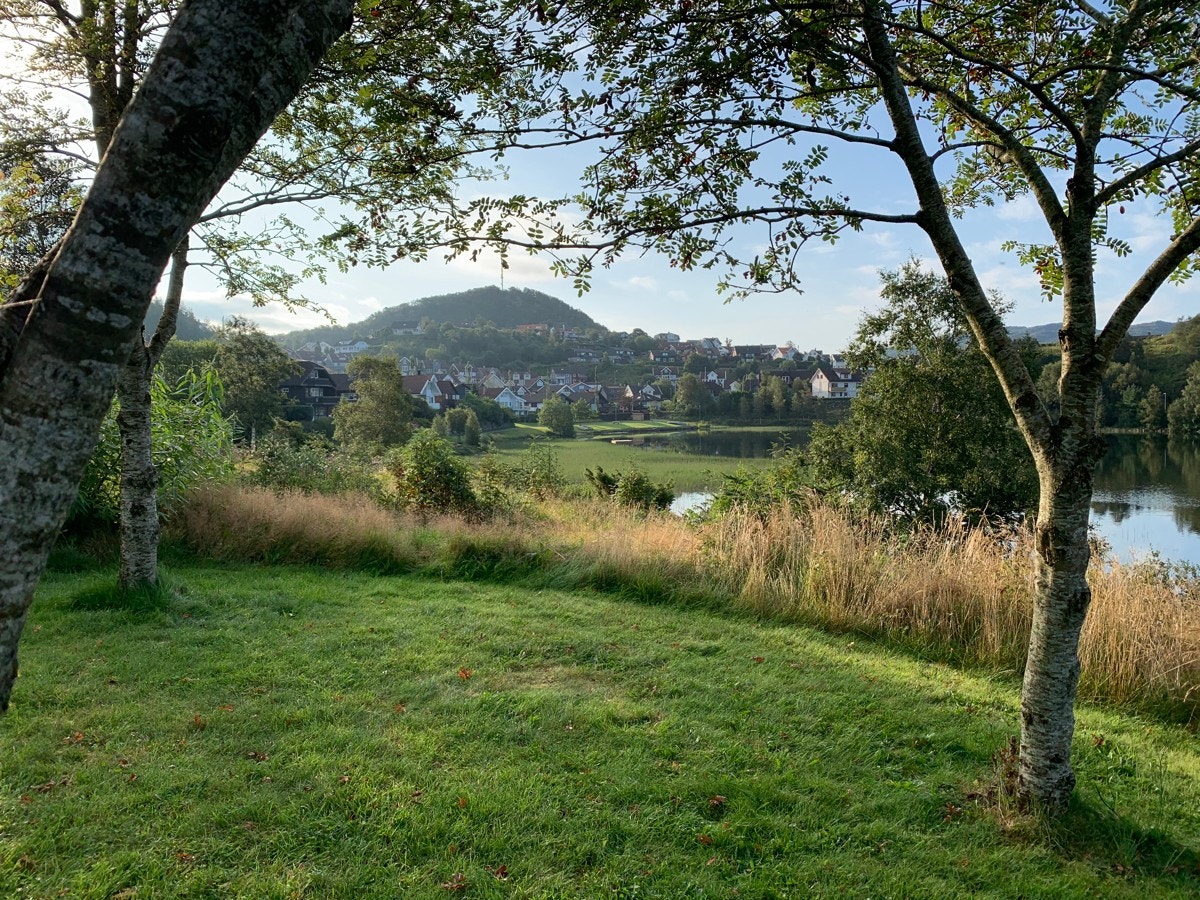 Øygardsvatnet Galleribilde