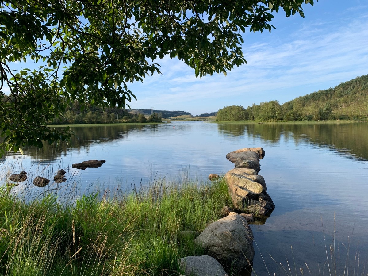 Øygardsvatnet Galleribilde