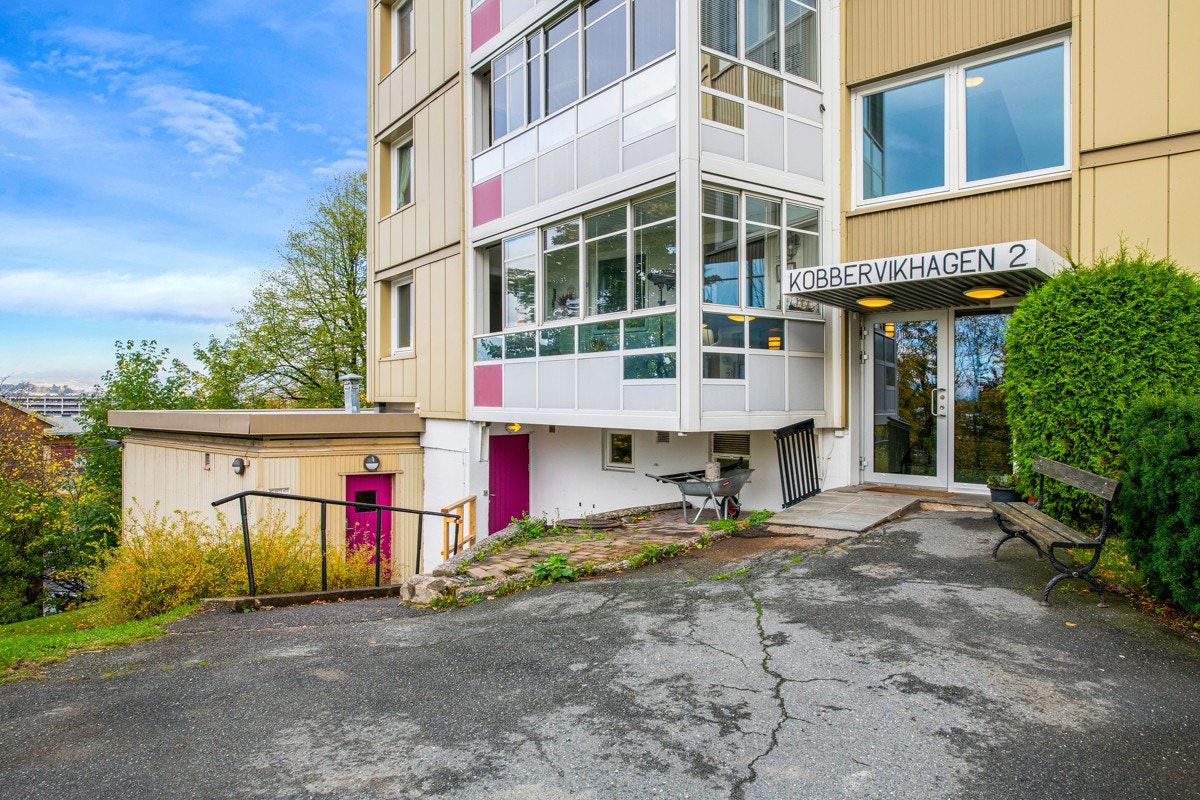 Felles inngangsparti. Galleribilde