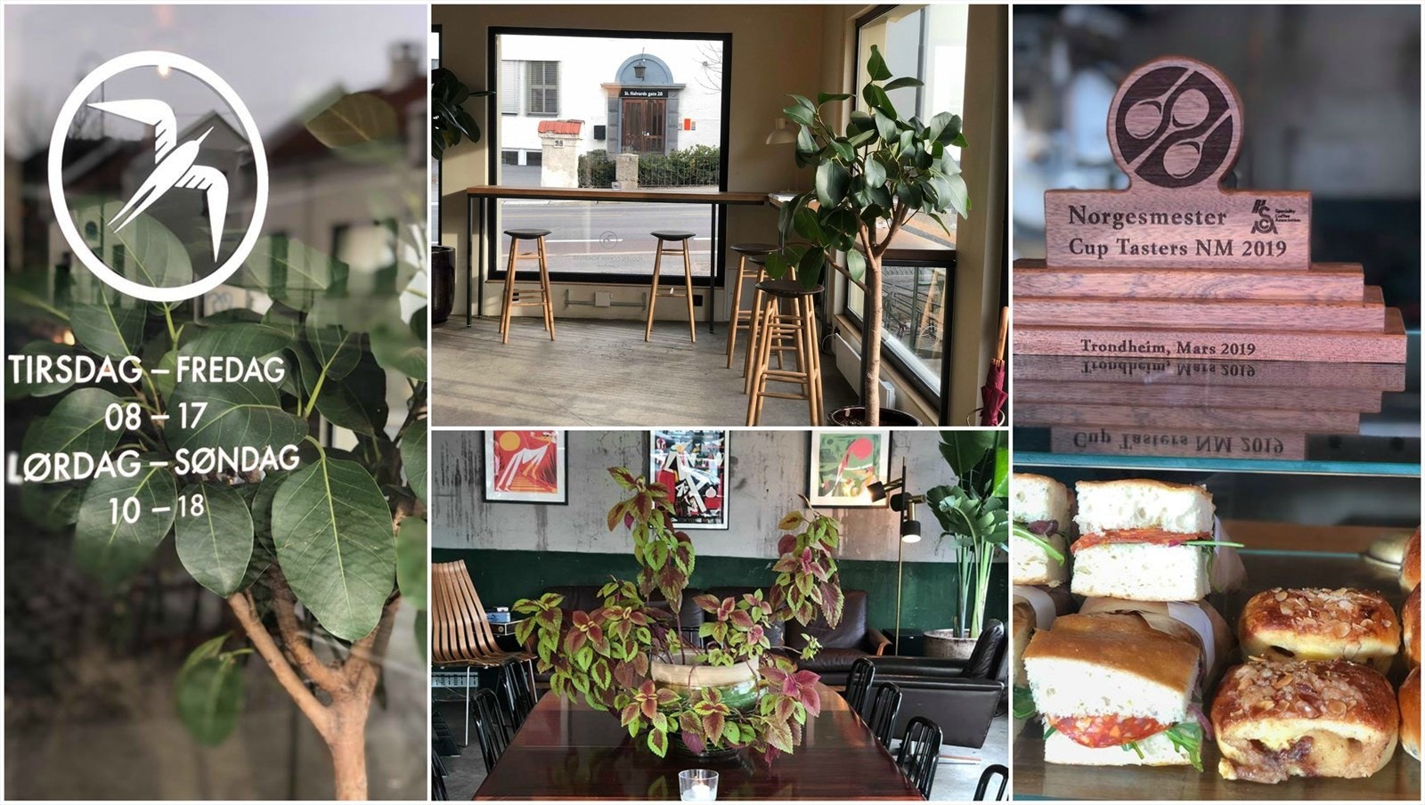 Fuglen åpnet høst 2018 og byr på fantastisk god kaffe i stillige lokaler. Her har de eget brenneri - fersk og supergod kaffe få minutters gange unna. Galleribilde