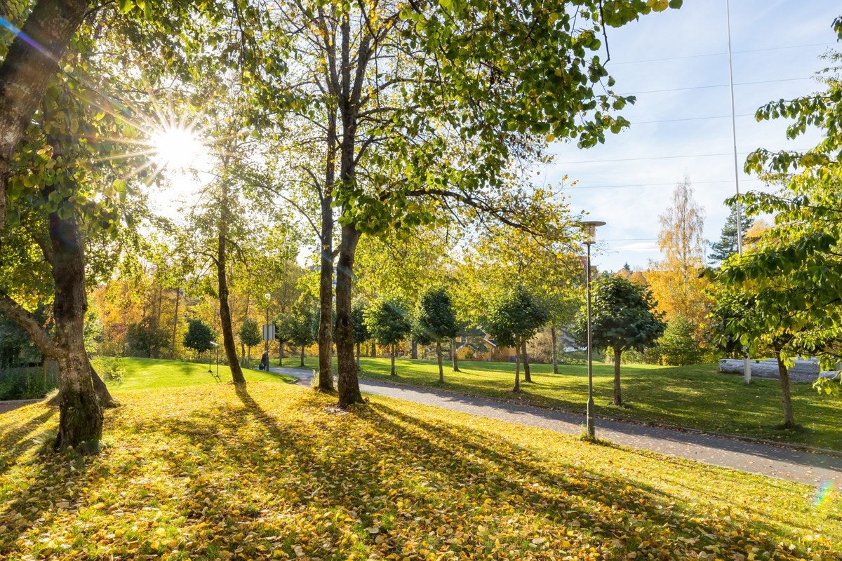 Utsikten fra leiligheten. Galleribilde