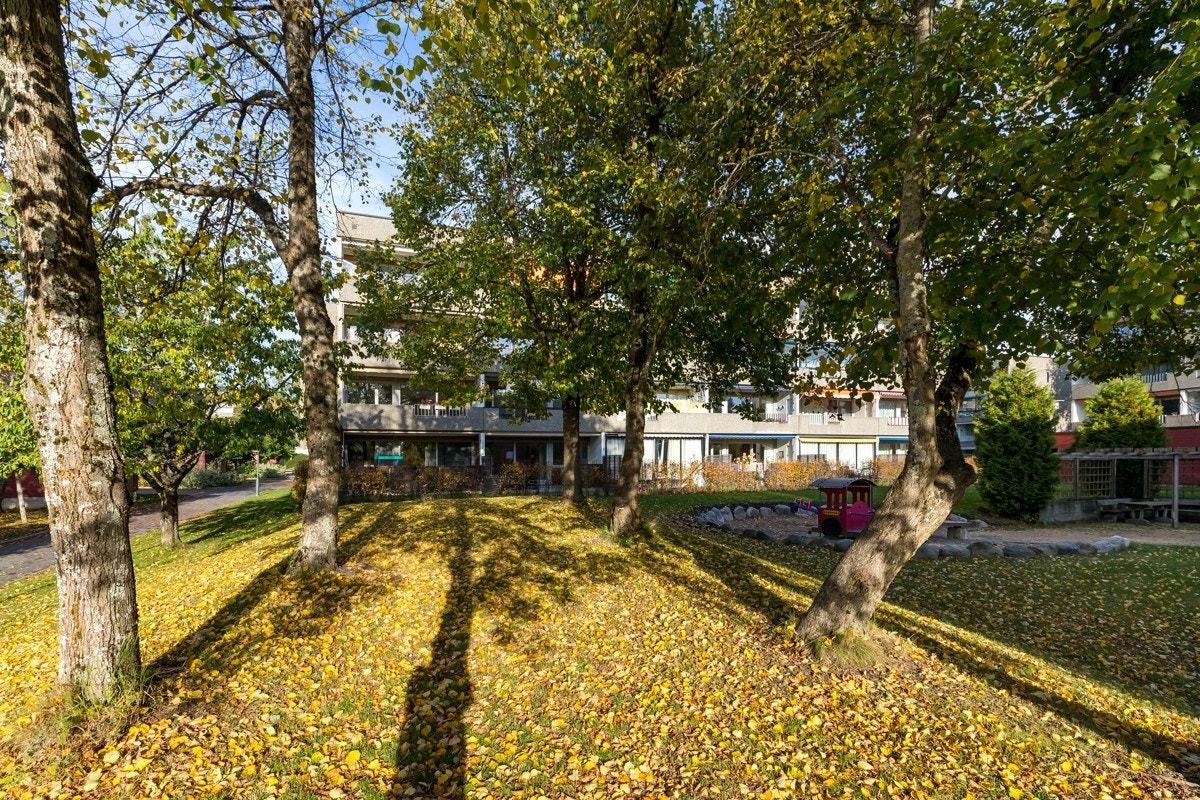 Grønnomgivelser rett uten for leiligheten. Galleribilde