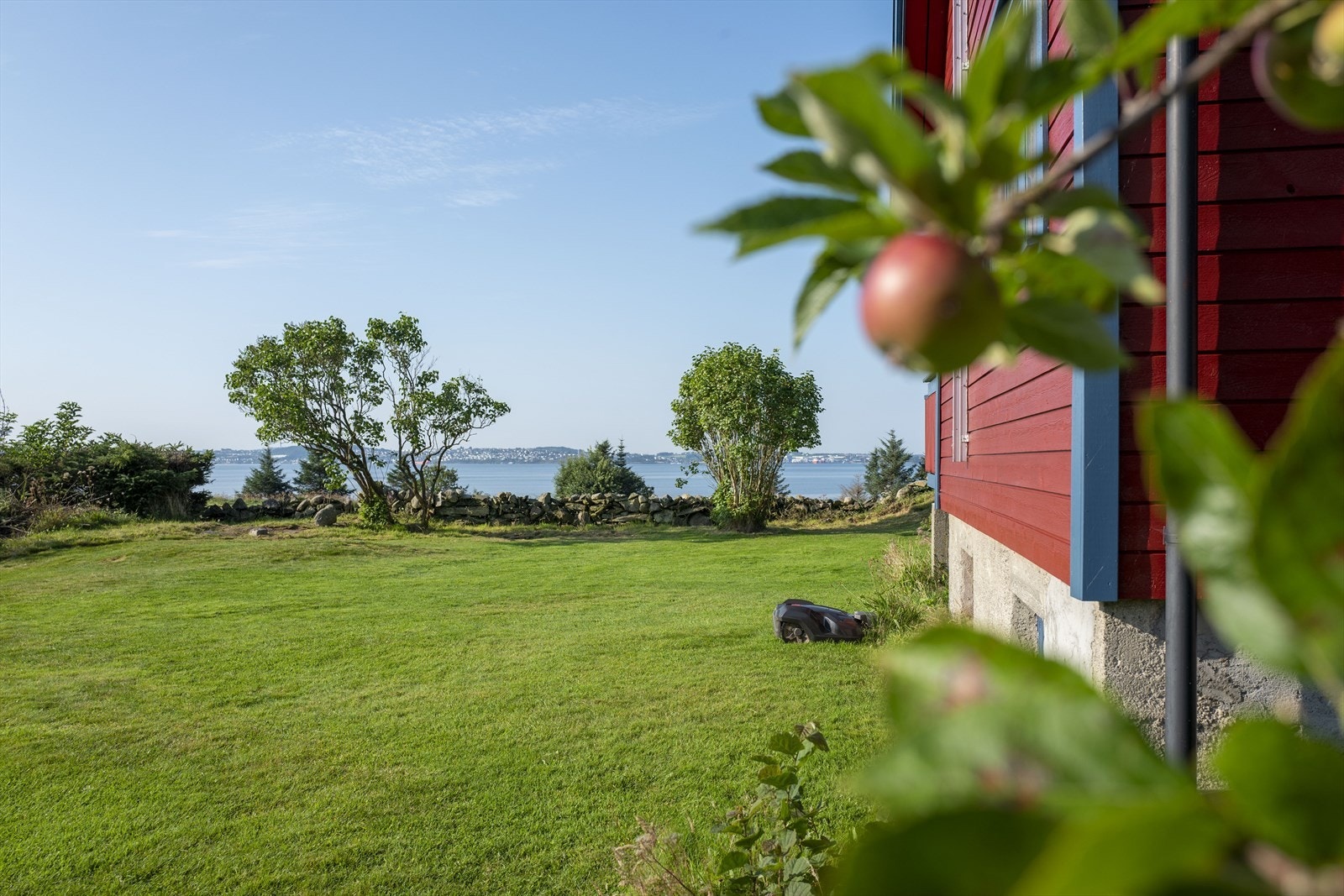 Stor hage med opparbeidet plen Galleribilde