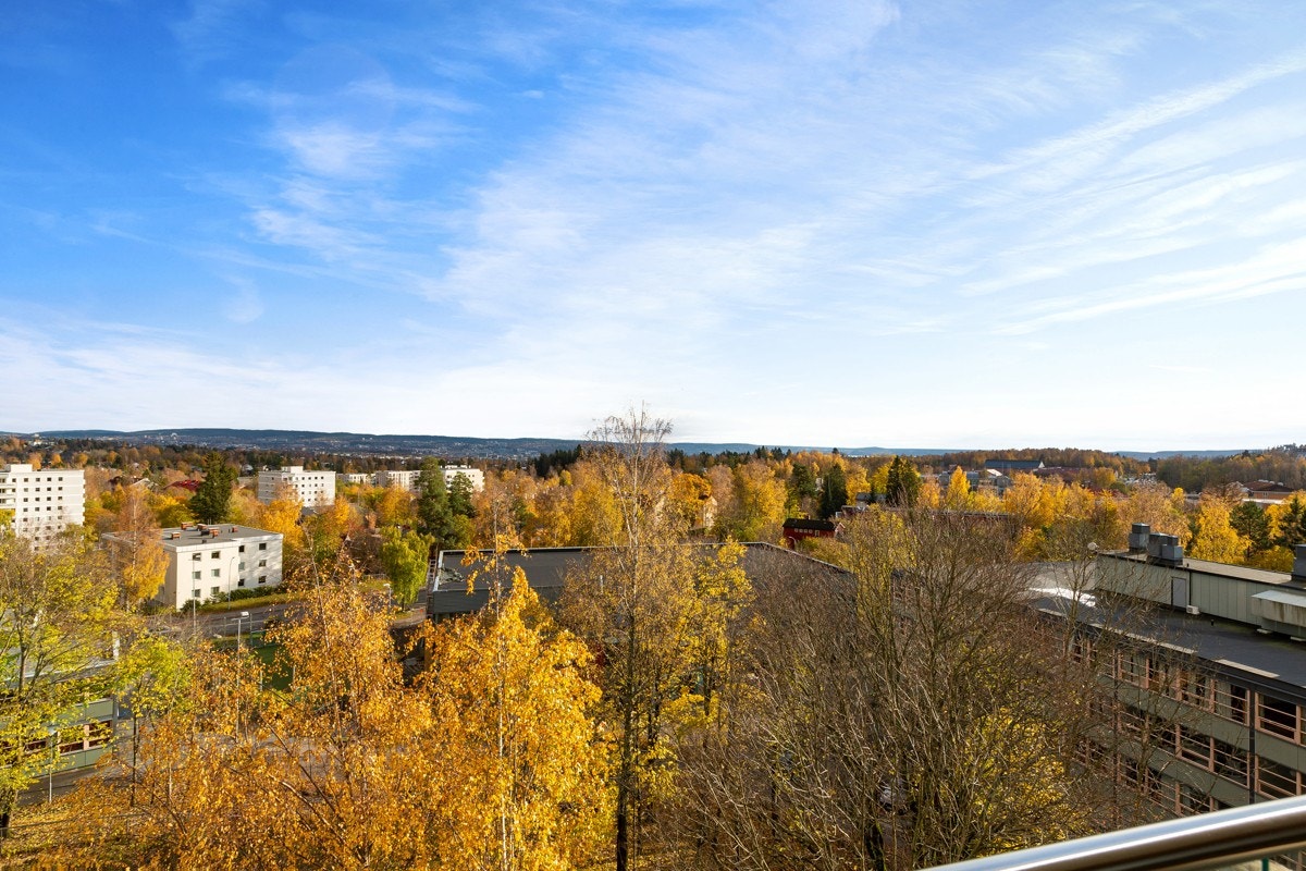 Her bor du naturnært i et rolig nabolag, samtidig som det er kort reisetid til byen. Galleribilde