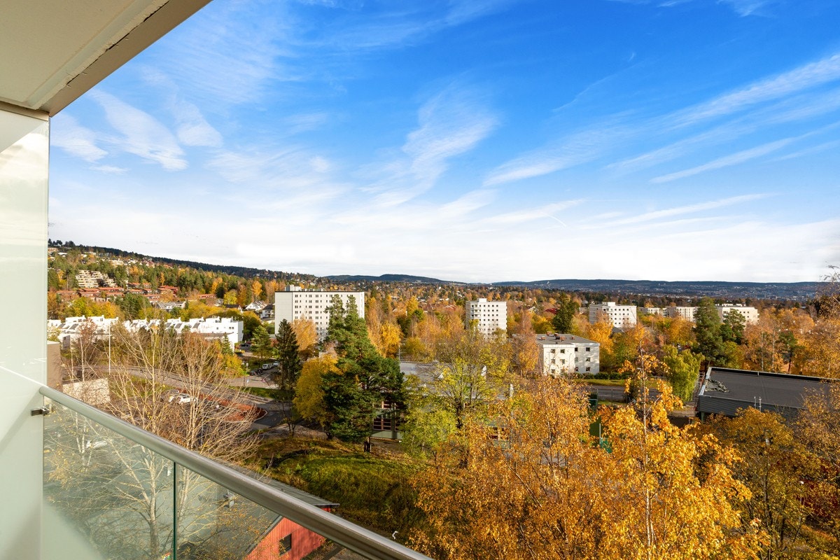 Flott utsikt over nærområdet fra balkongen. Galleribilde