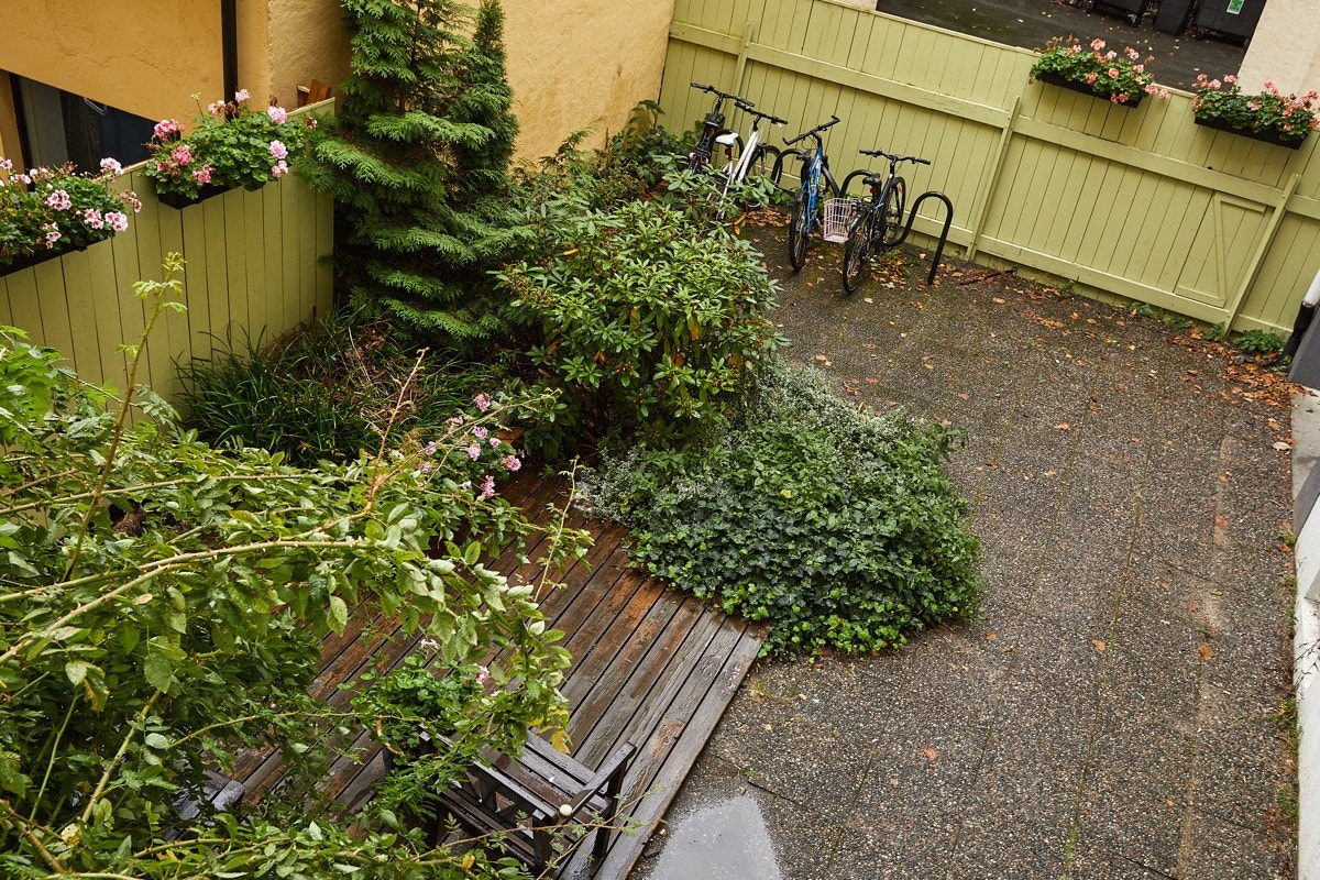 Fra vinduet har du utsyn over bakgården. Galleribilde