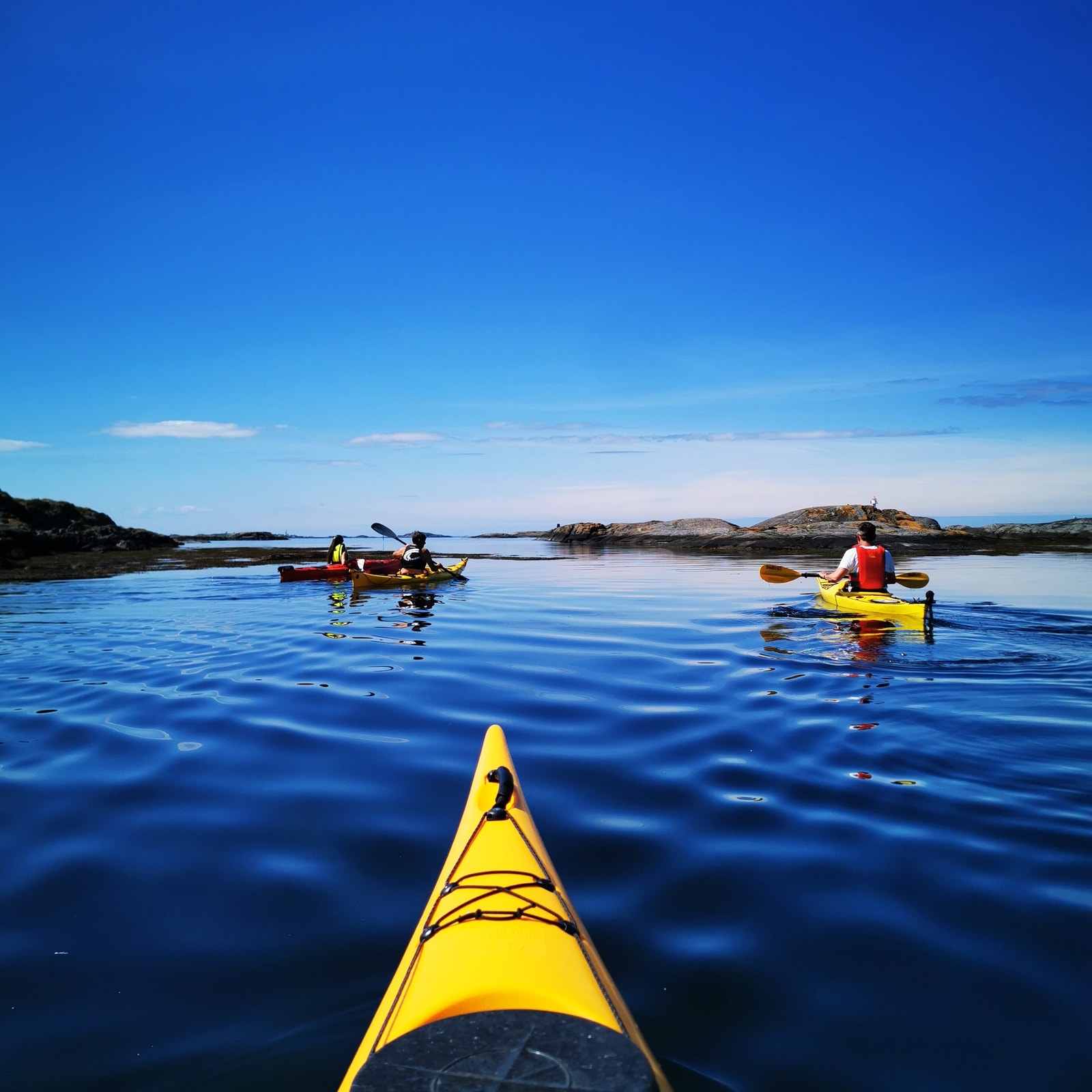 Kajakking i Bud. Galleribilde