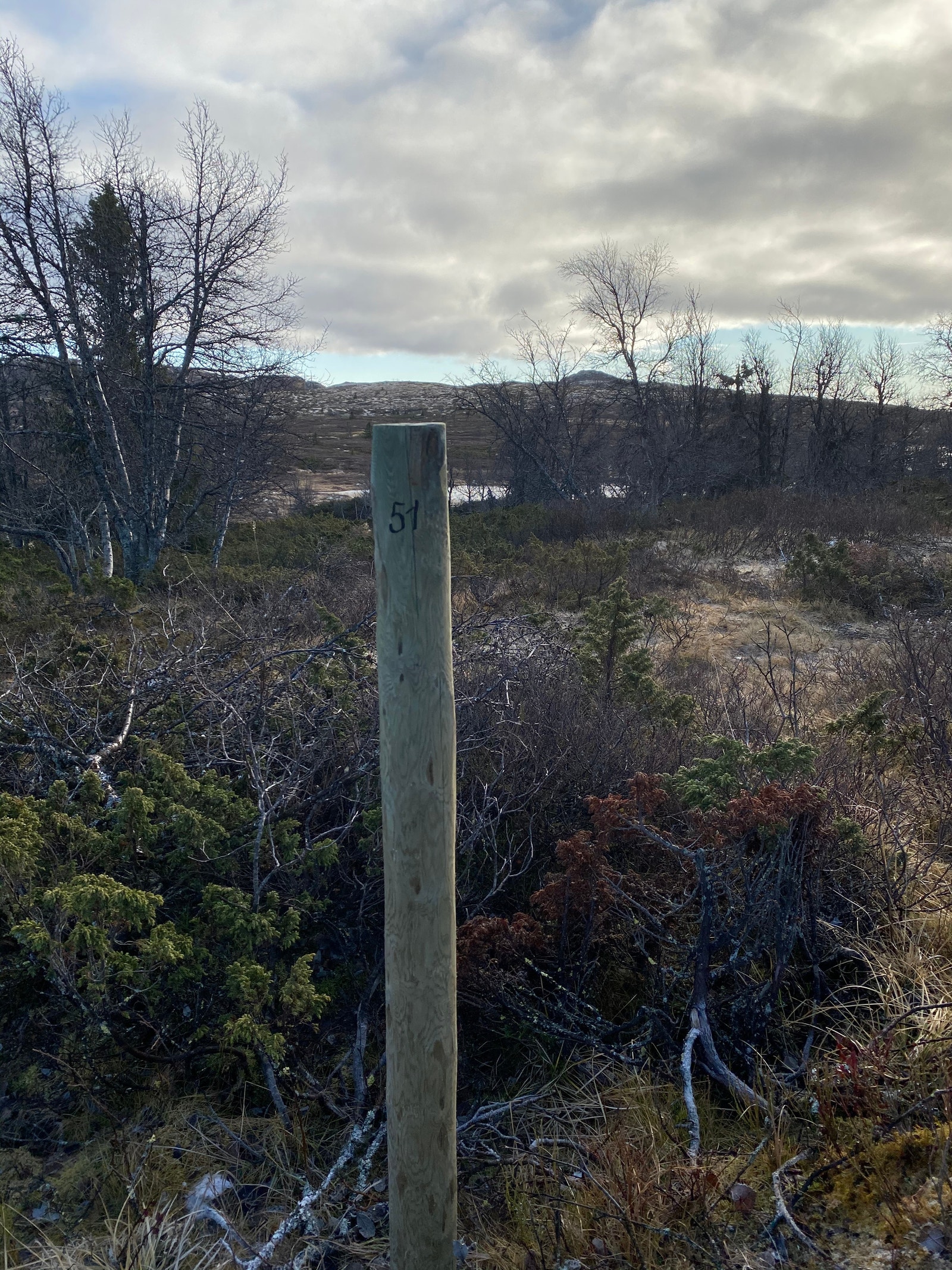 Hyttetomt Galleribilde