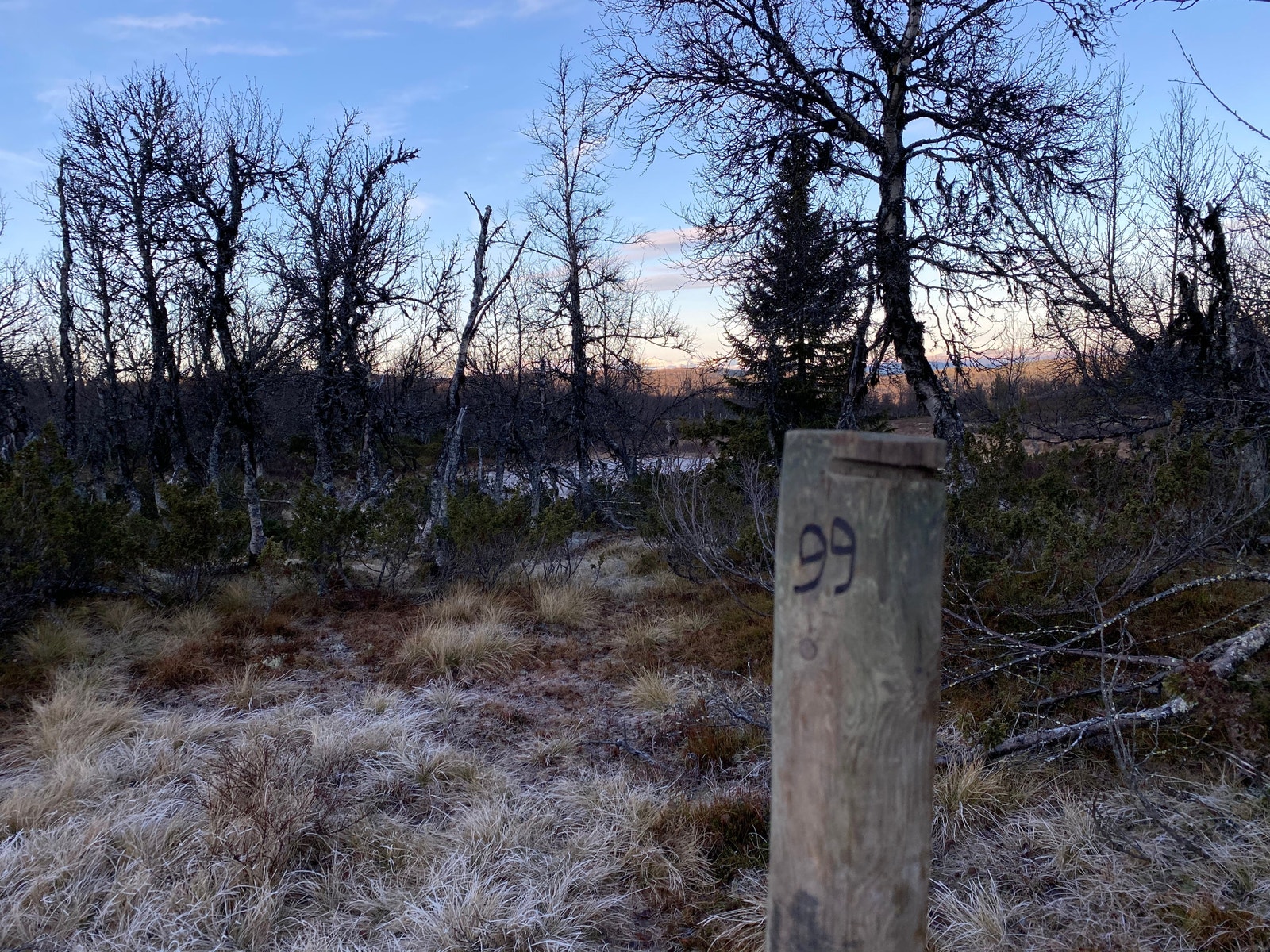 Tomtene i høstvær Galleribilde