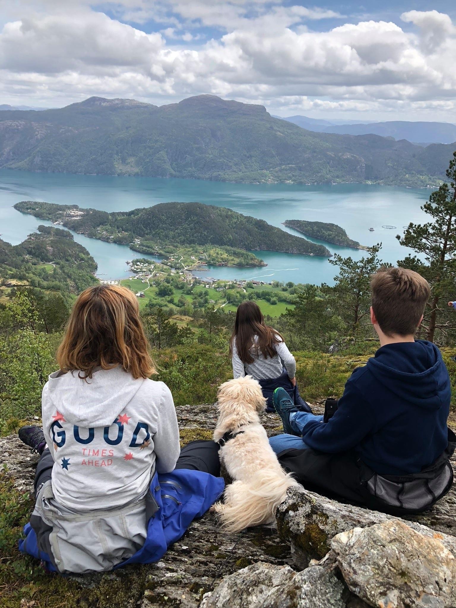 Fine turområder i nærområdet, Storøynå i bakgrunnen Galleribilde