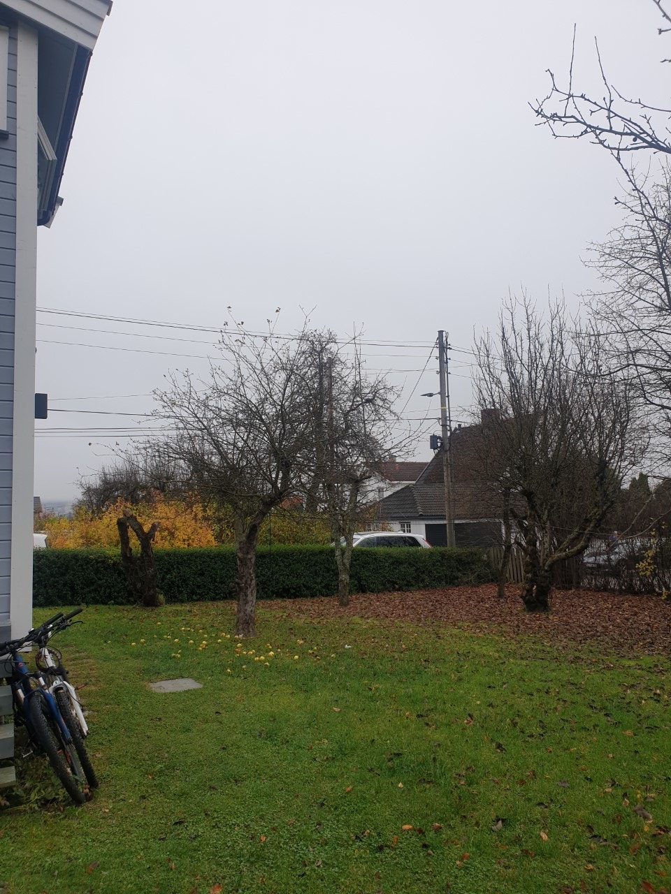 Stor og romslig hage med kveldssol Galleribilde