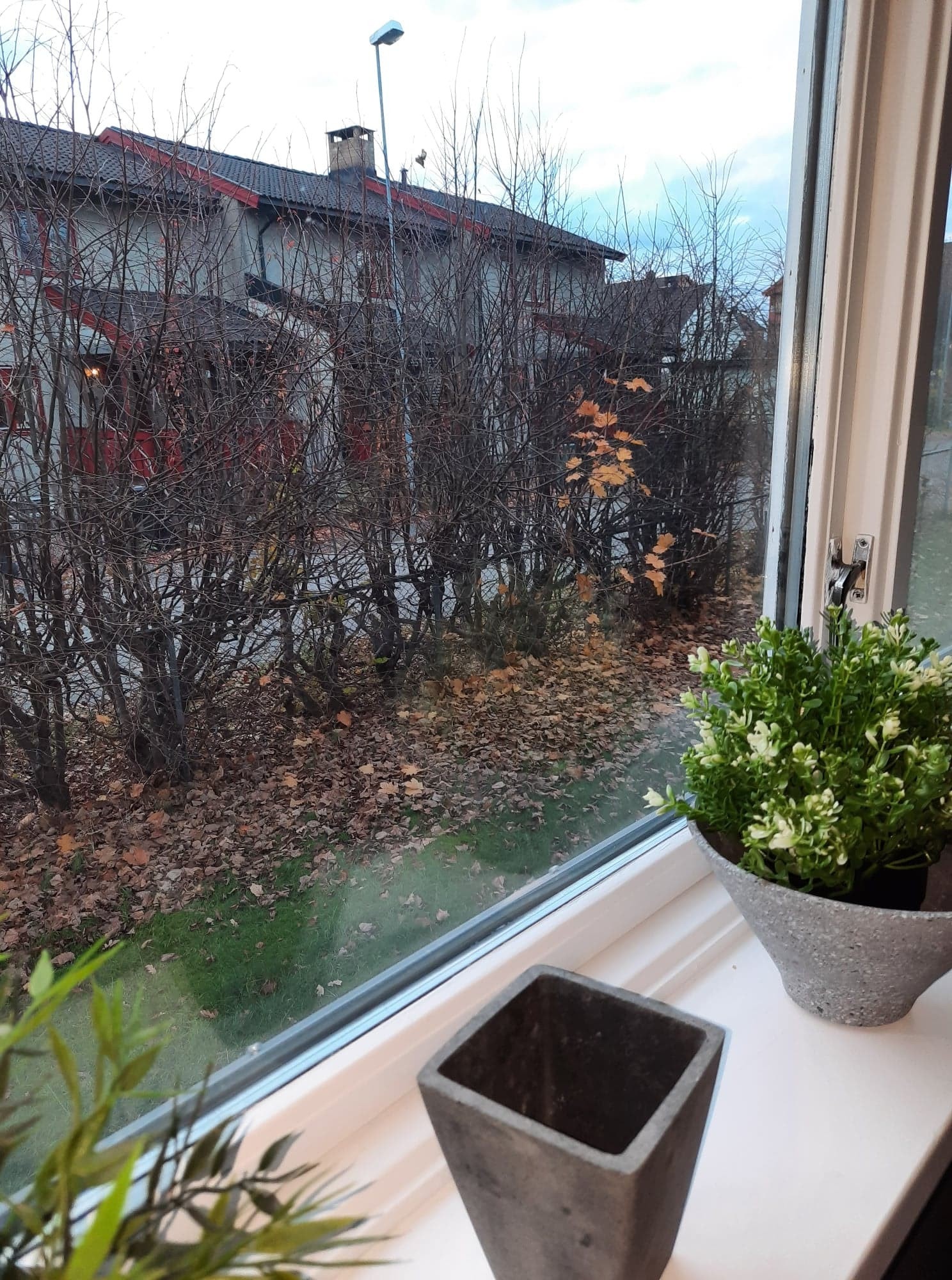 Kjølnesjordet 8 rom 102 Galleribilde