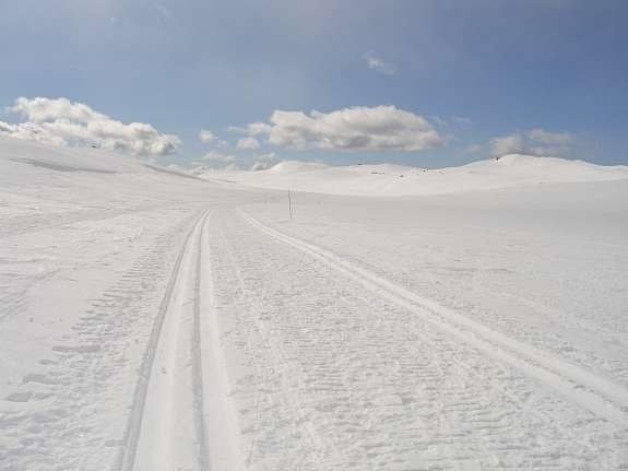 På vei mot toppen Galleribilde