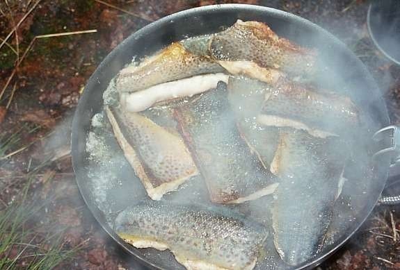 Fiskemuligheter Galleribilde