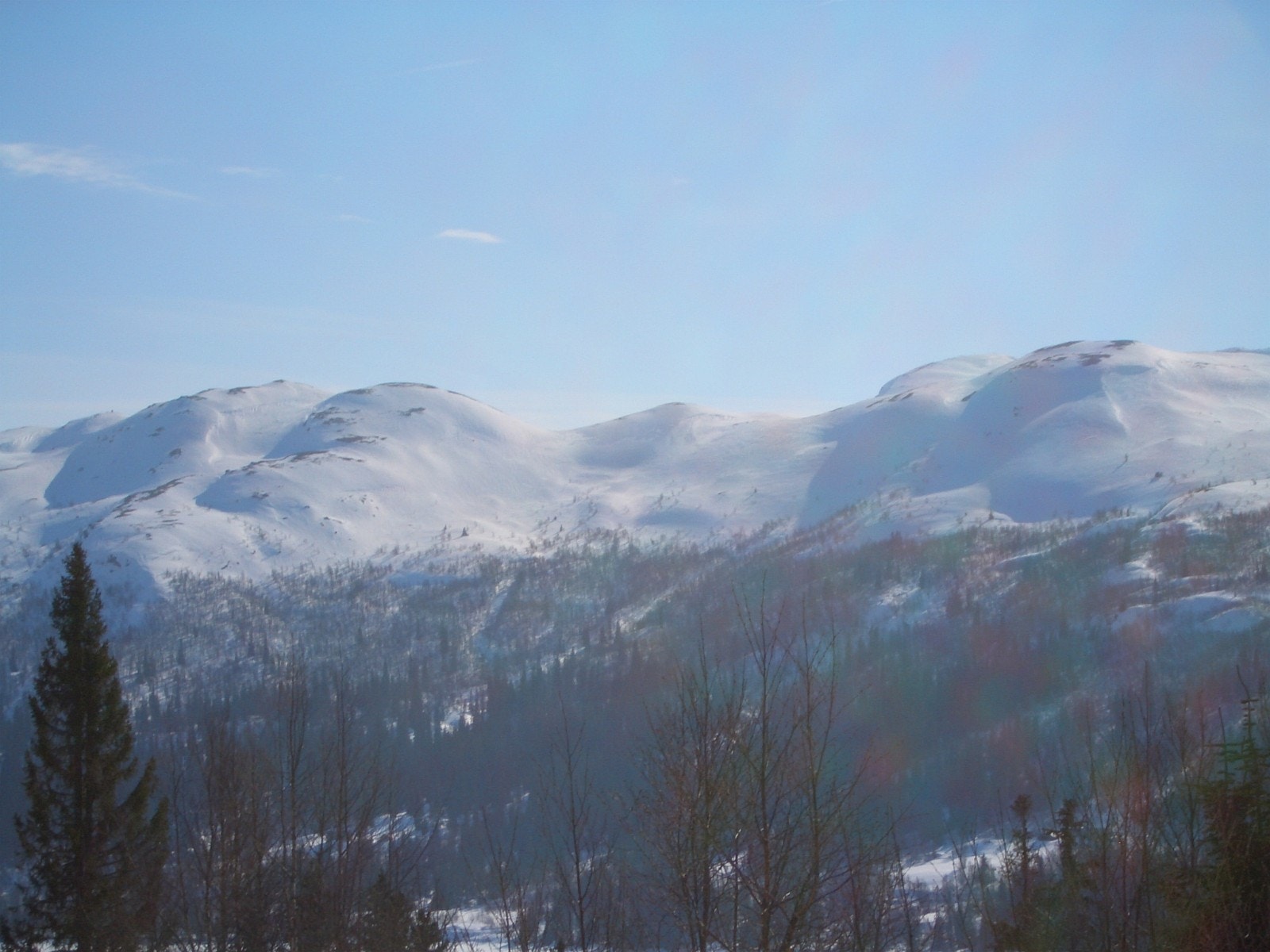 Mot Synnfjellet Galleribilde