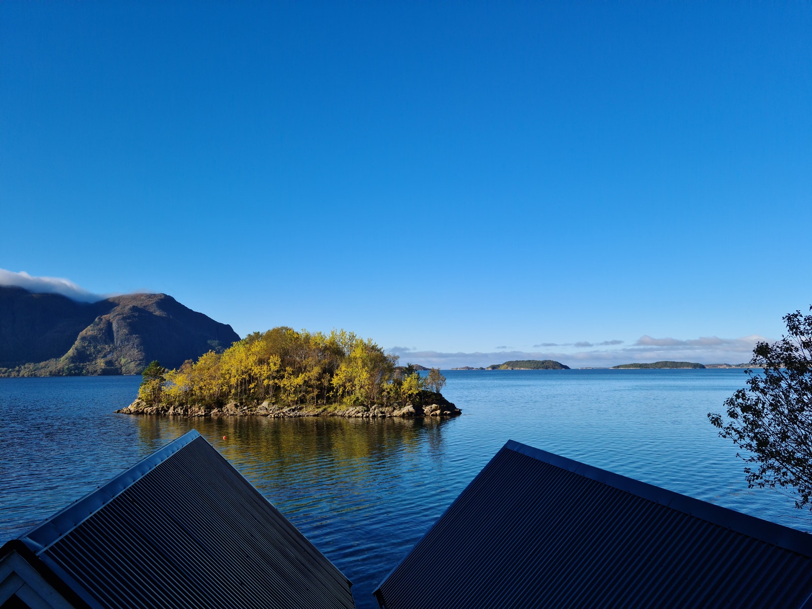 Utsikt over fjorden Galleribilde