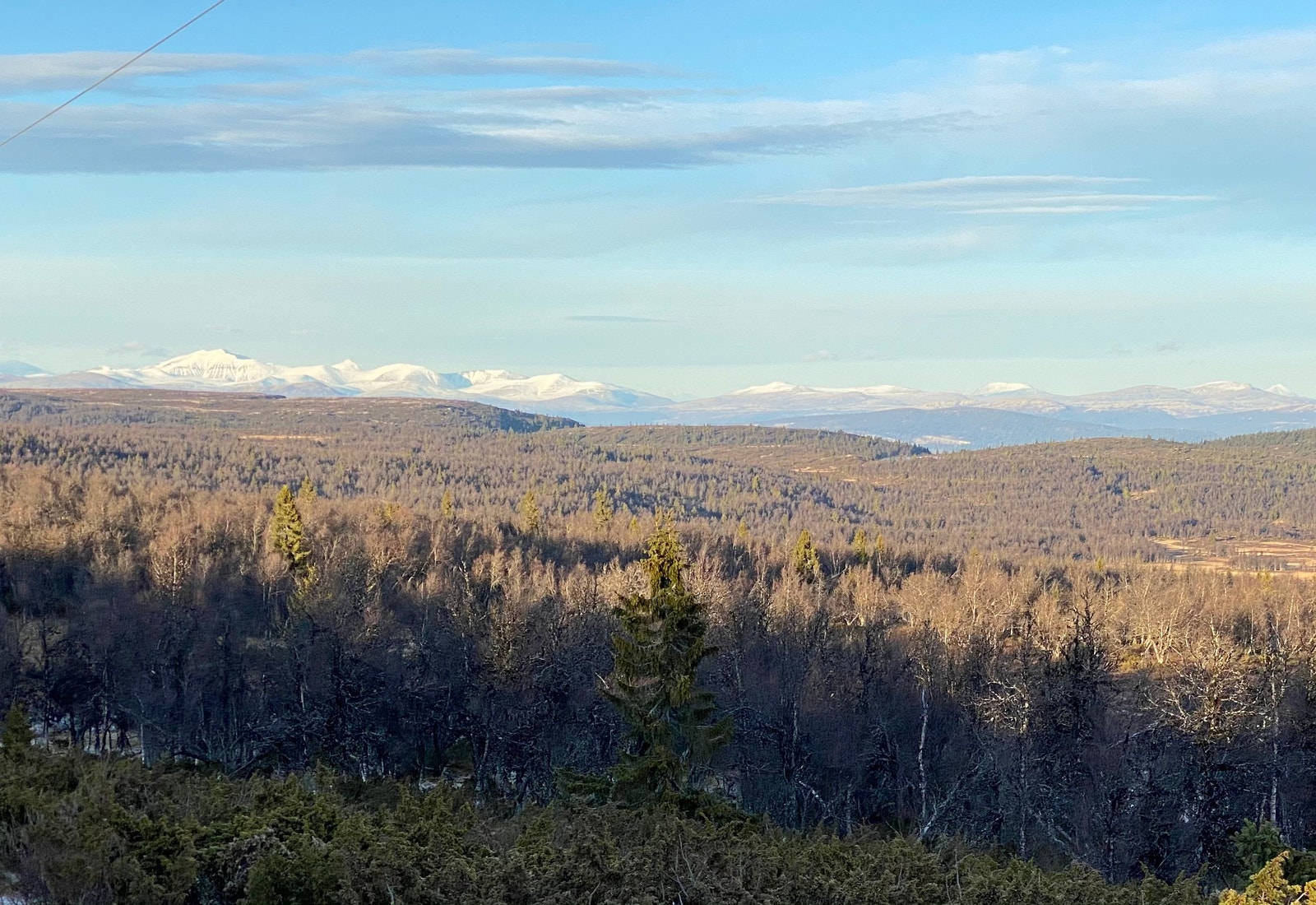 Utsikt rett ved tomt 101 Galleribilde