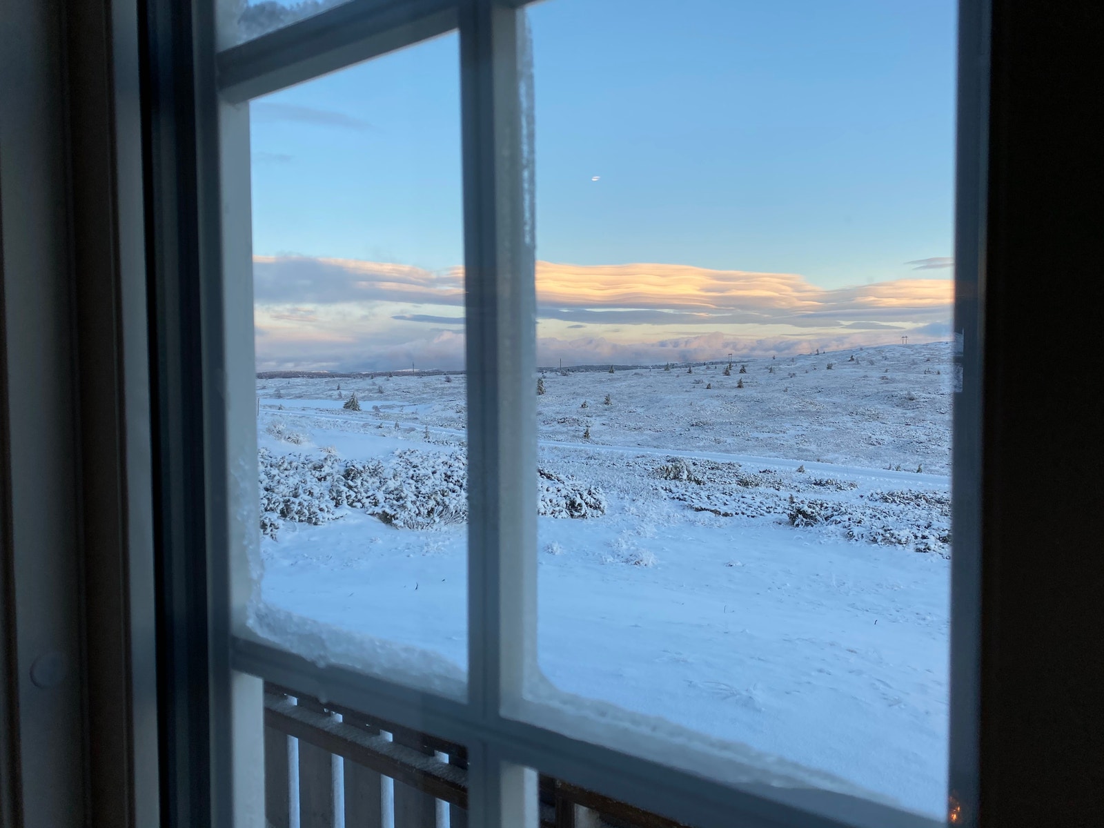 Dra krakken bortåt glaset❤️ Galleribilde