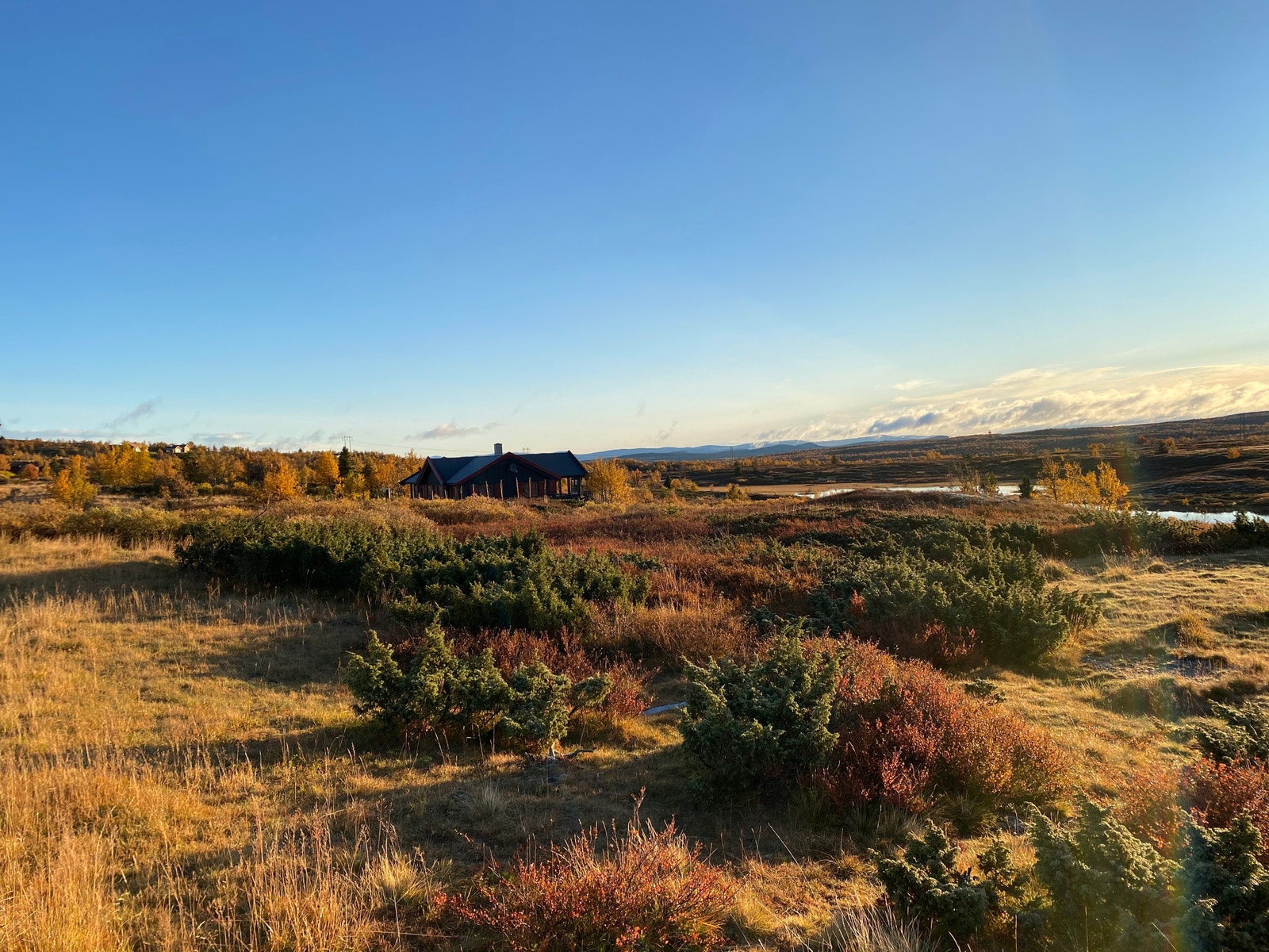 Høstfargene i fjellet imponerer Galleribilde
