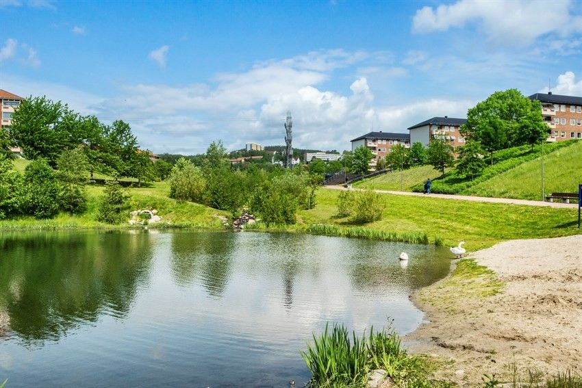 Bjerkedalen park - idylliske områder i nærheten Galleribilde