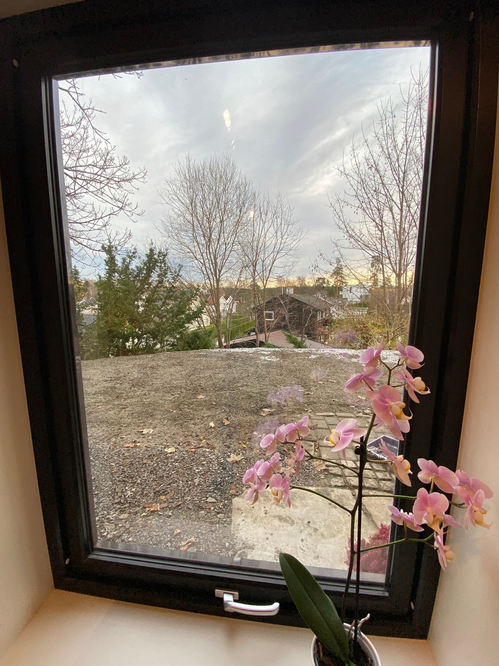 Utsikt (nå gress) Galleribilde