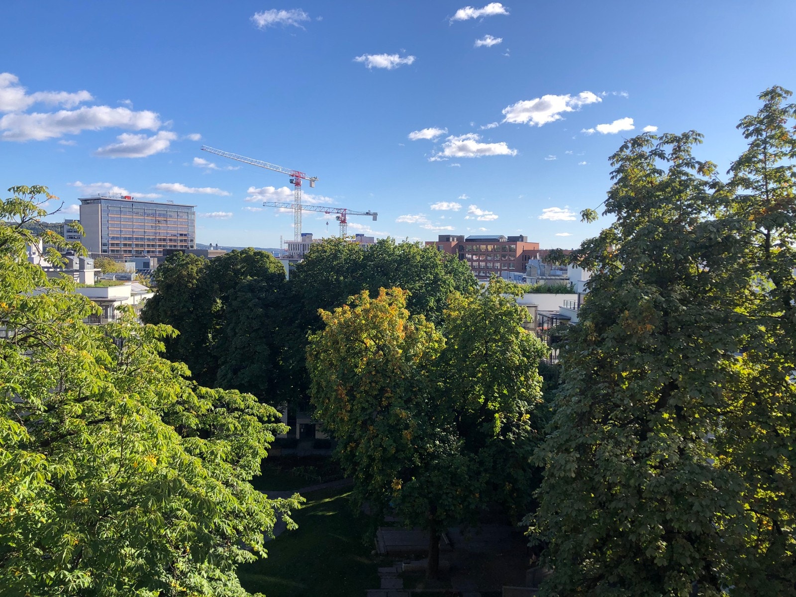 Utsikt rett ut fra leiligheten Galleribilde