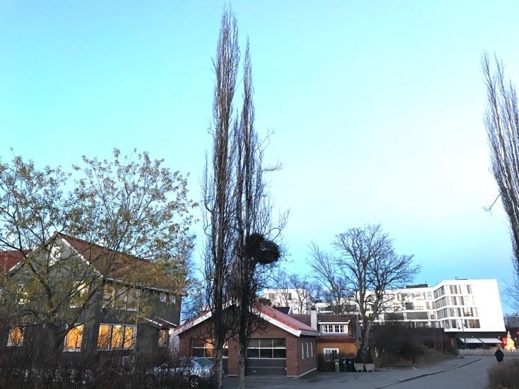 Huset ligger like ved Sirkus shopping (t.h. på bildet). Galleribilde