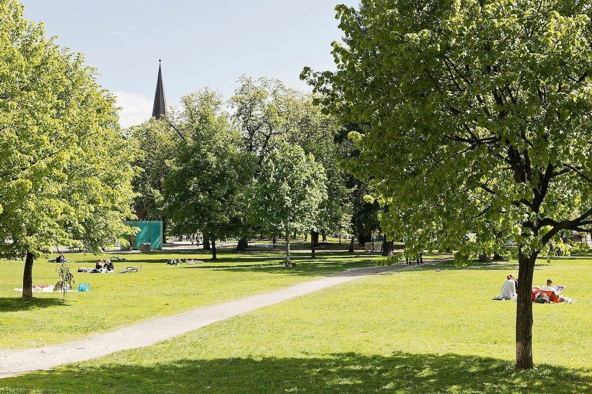 Hyggelige Sofienbergparken ligger i nærområdet Galleribilde