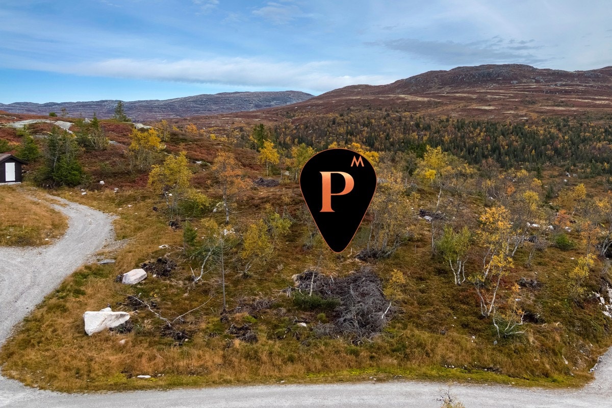 Tomten ligger med enkel adkomst fra vei. Galleribilde