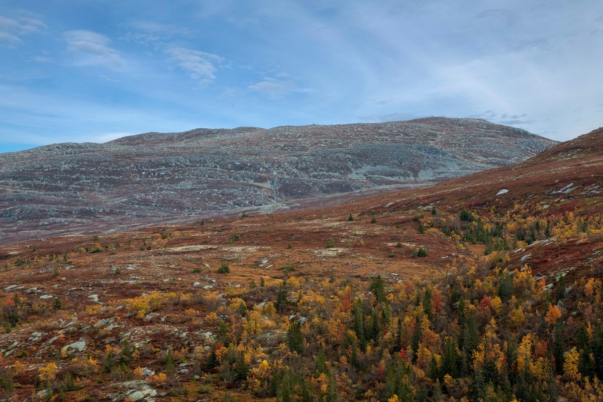Usjenert beliggenhet ca. 970 meter over havet i et populært hytteområde med kort vei til snaufjellet. Galleribilde