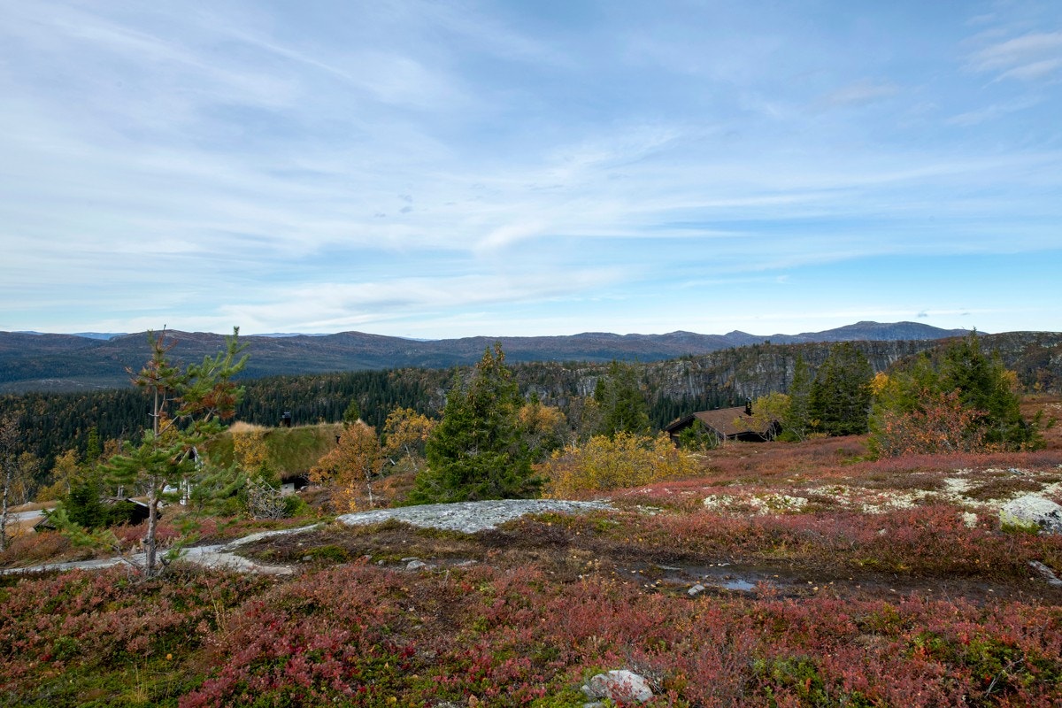 På eiendommen kan det oppføres en fritidsbolig over ett plan fra Ålhytta (www.aalhytta.no), med tilhørende uthus/anneks i samme stil og to p-plasser. Galleribilde