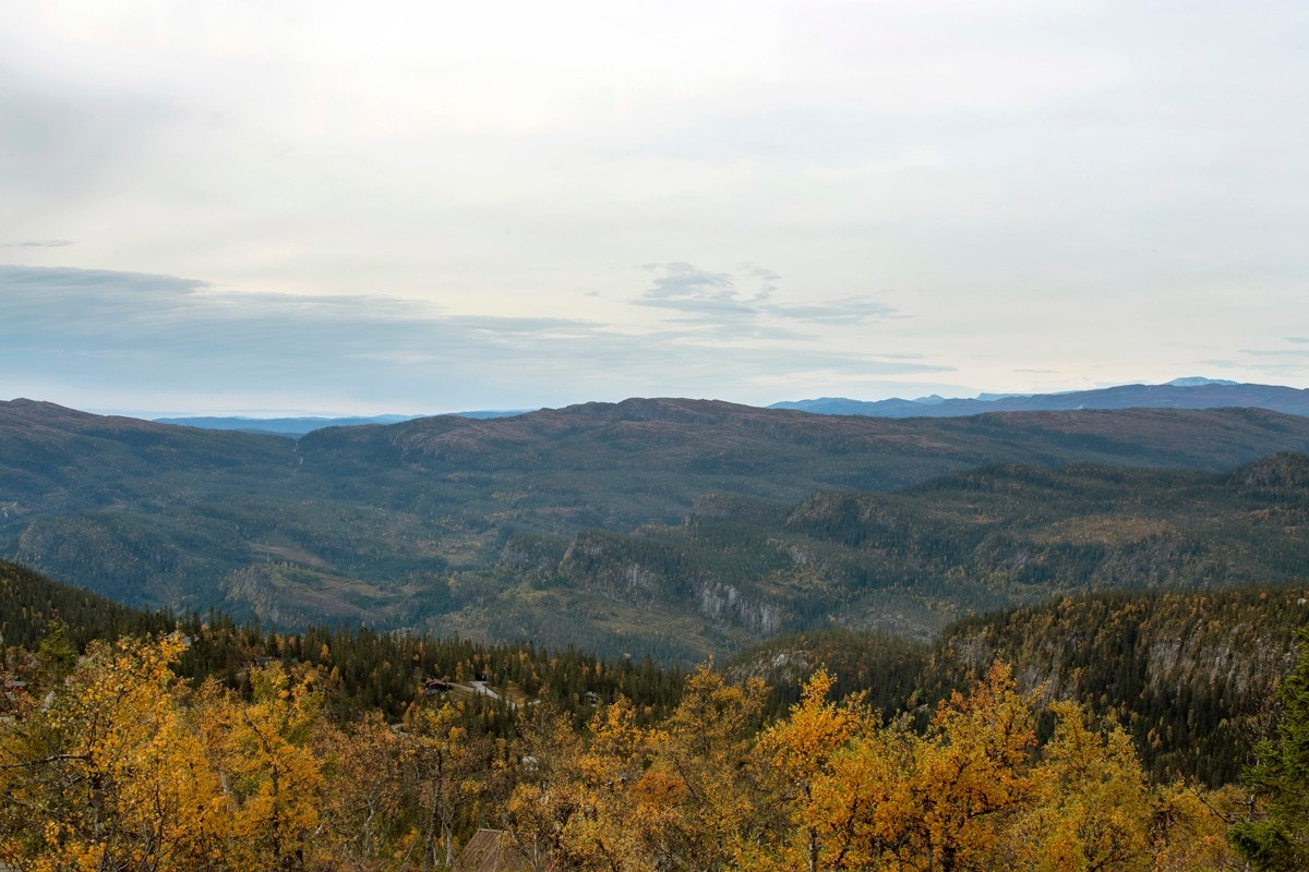 Det er også mulighet for rike naturopplevelser resten av året enten til fots eller på sykkel i storslagen natur, fisking i krystallklare fjellvann, samt jakt og bærplukking. Galleribilde