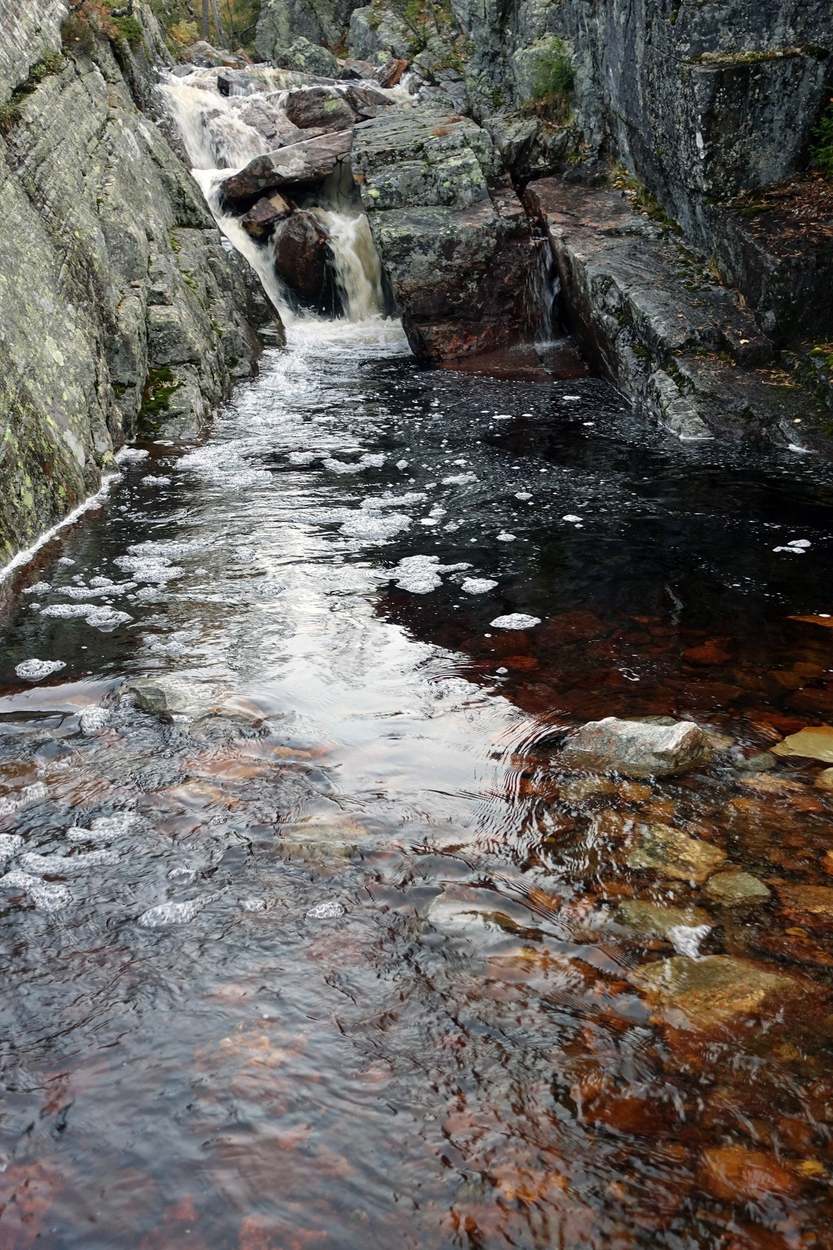 Flott natur i området. Galleribilde
