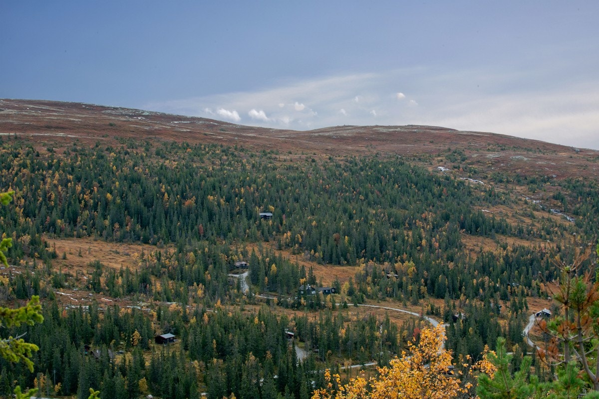 Ved Tempelseter ligger et alpinanlegg som passer ekstra godt for barn, med bakke på 500 meter og T-krok. Galleribilde