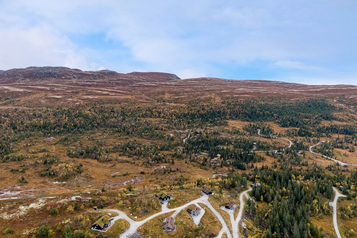 Her starter skogsturen like utenfor døren, og du kan følge merket sti innover fjellheimen hvor du finner skiløyper vinterstid, samt områder for sykkel, jakt og fiske. Galleribilde