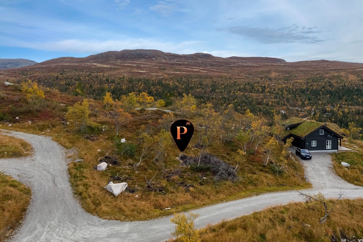 Nærhet til flere alpintbakker bla. Norefjell skisenter og det er mulighet for flere toppturer via Tempelseter-Høgvarde-Haglebu mv. Galleribilde