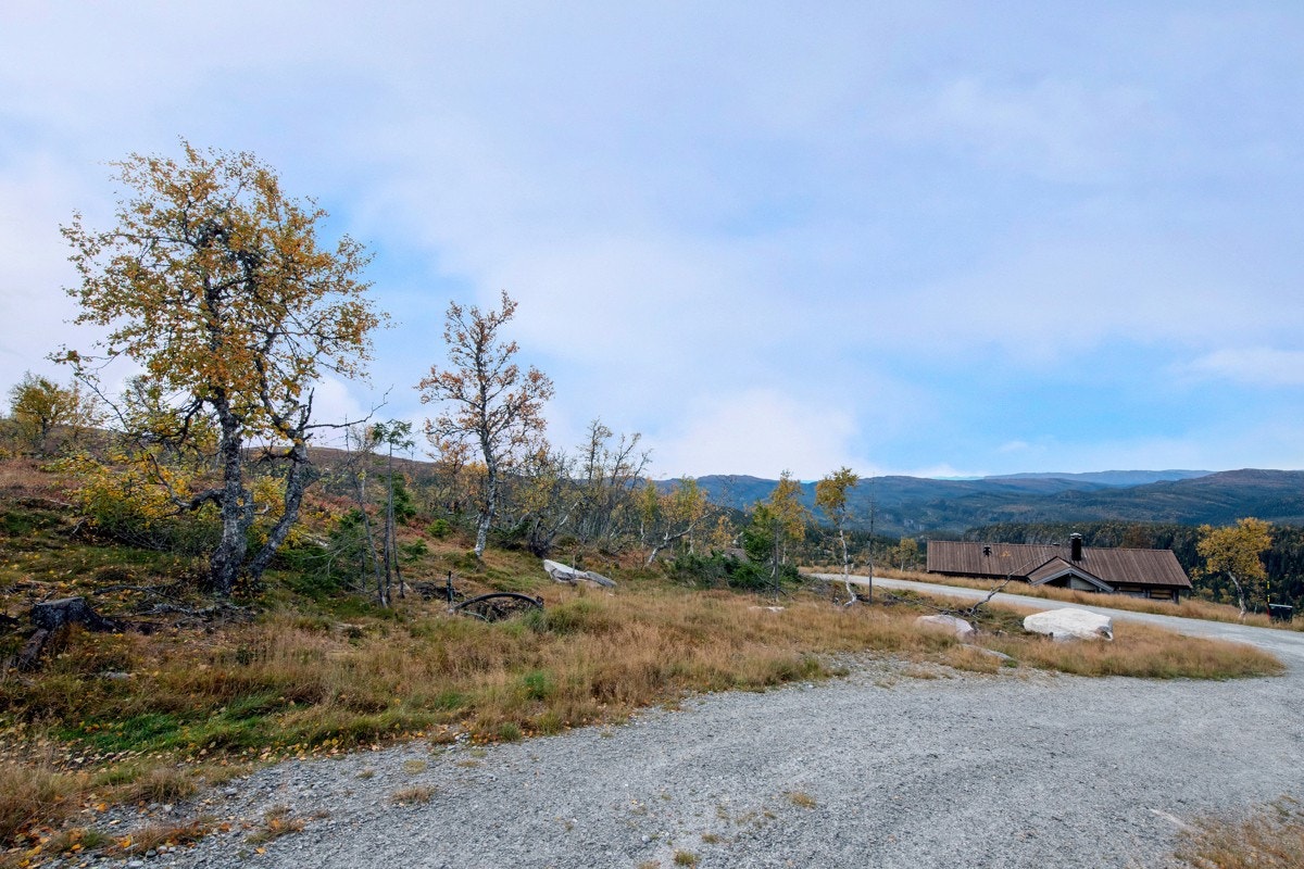 Tomten ligger med enkel adkomst fra vei. Galleribilde