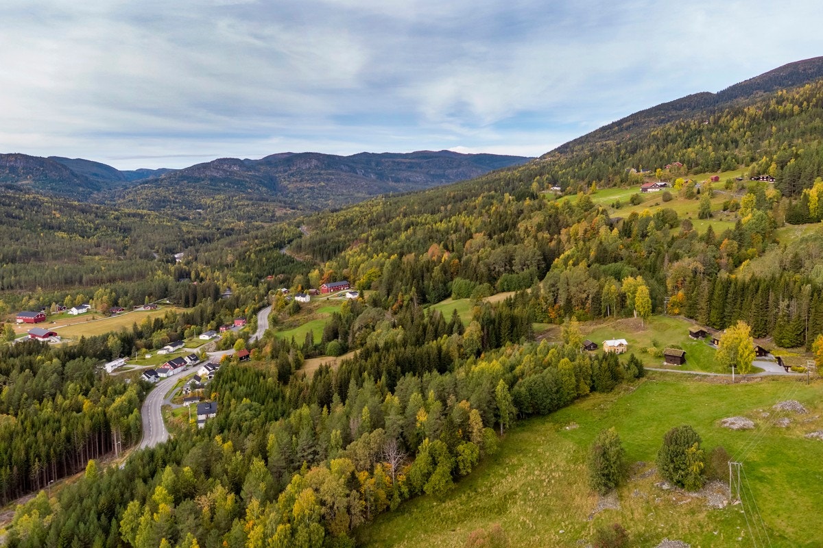 I Prestfoss ligger Sigdalssenteret med et utvalg butikker og tjenesteleverandører, samt Hageland. Galleribilde