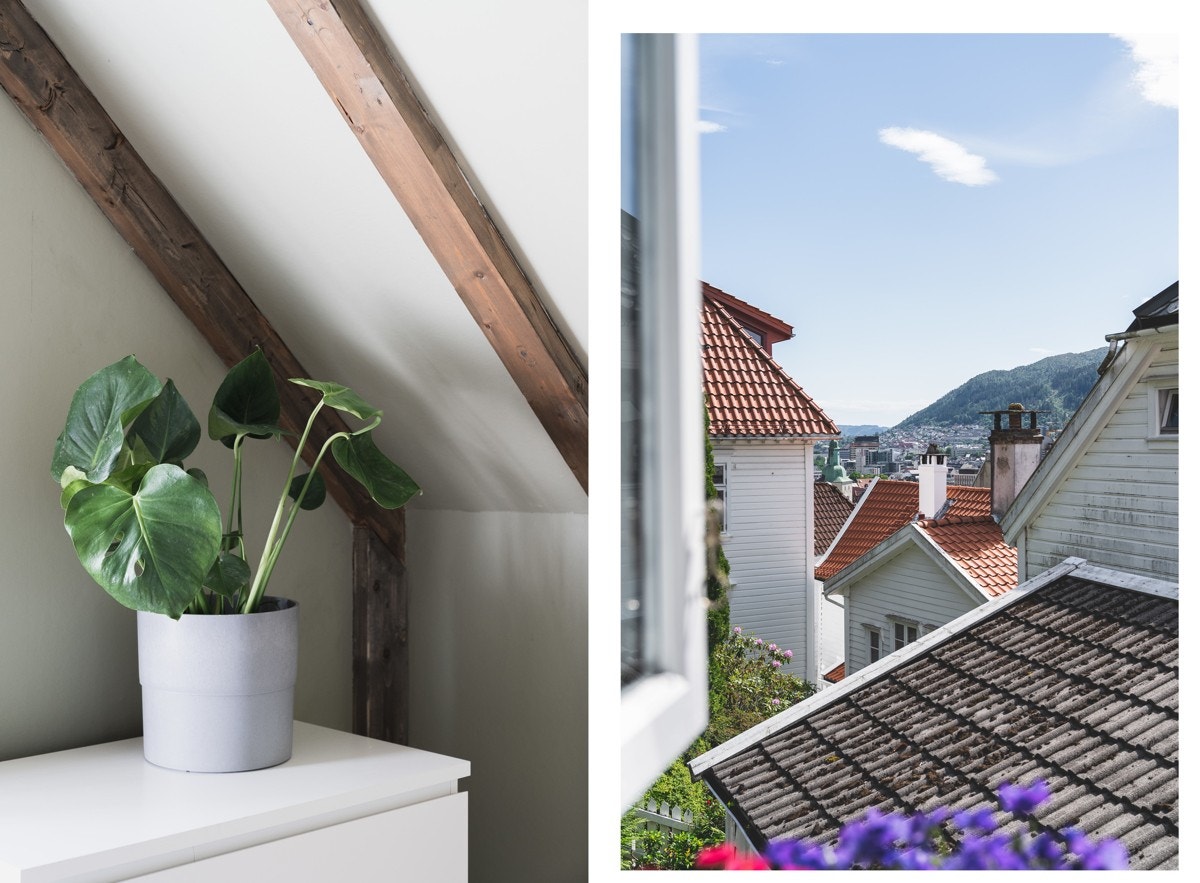 Fra vinduet er det flott utsikt over det koselige nabolaget. Galleribilde