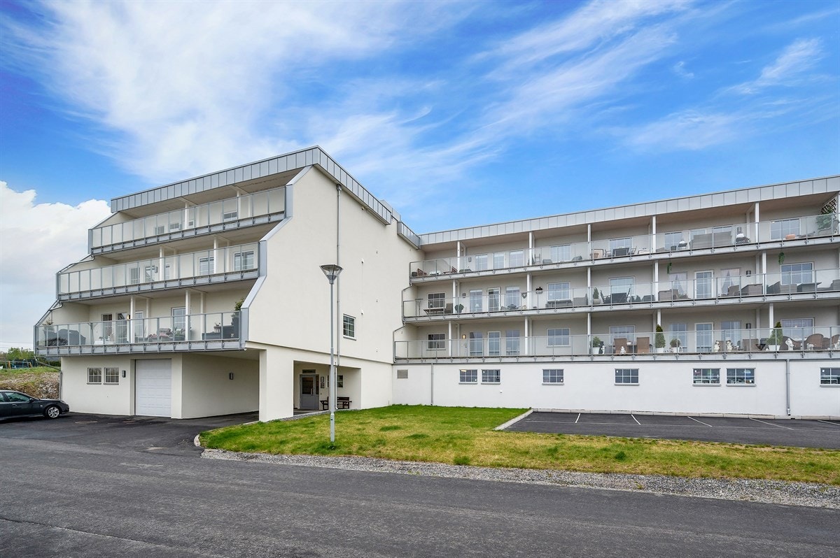 02Idrettsvn Galleribilde