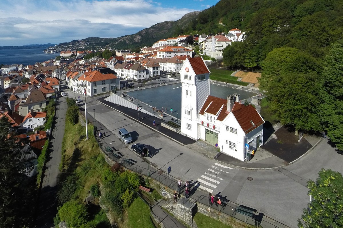 Skansedammen mot nord Galleribilde