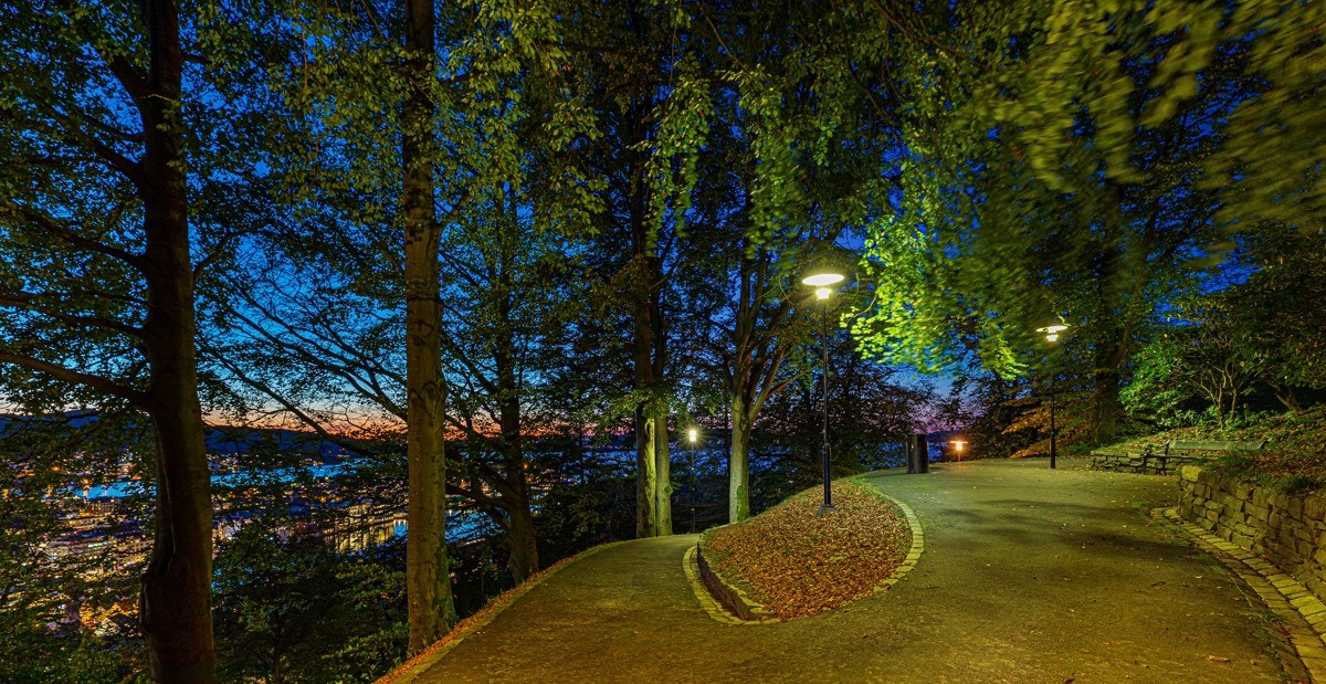 Nærområde Galleribilde