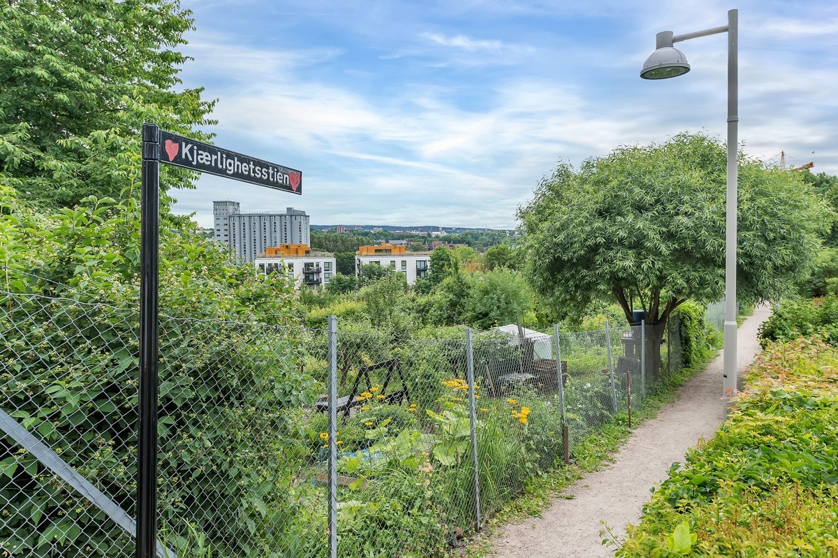 Hva med en hyggelig tur langs kjærlighetsstien? Galleribilde