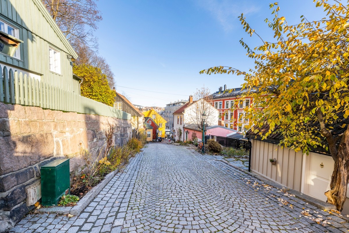 Bergfjerdingen, som er en del av Fredensborg, er et område i Bydel St. Hanshaugen. Det var fra 1700-tallet av en forstad til Christiania, og navnet er først kjent fra 1767. Fra byutvidelsen i 1859 av var Bergfjerdingen en del av Christiania. Galleribilde