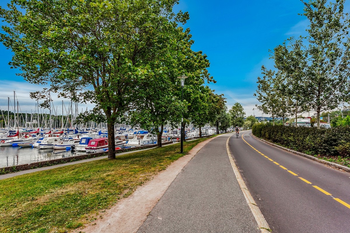 Flotte tur og treningsmuligheter i umiddelbar nærhet Galleribilde