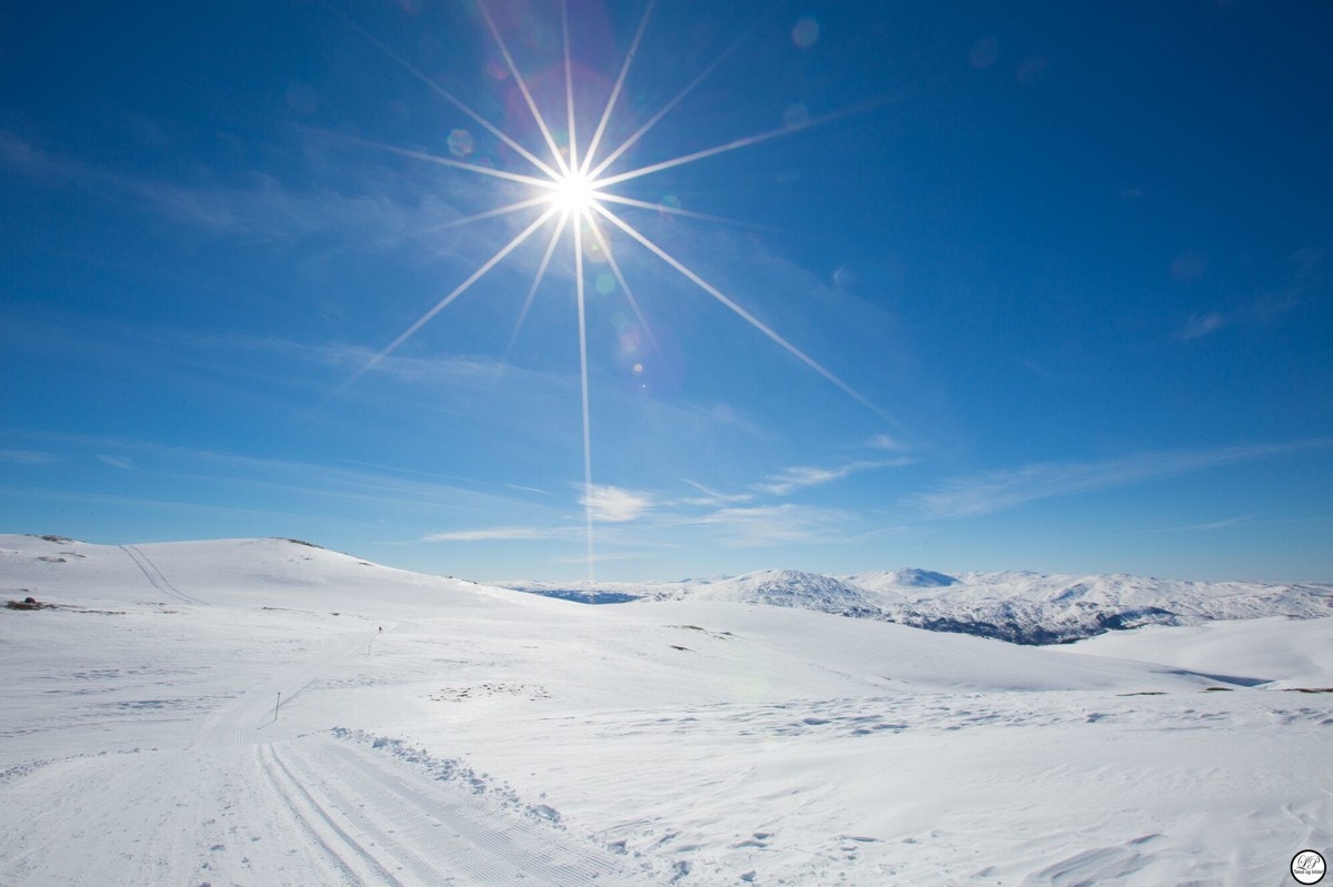 Ikke bli overrasket om du går deg på både tidligere verdensmestere i langrenn og skiskyting under en langrennstur i Meråker. Galleribilde