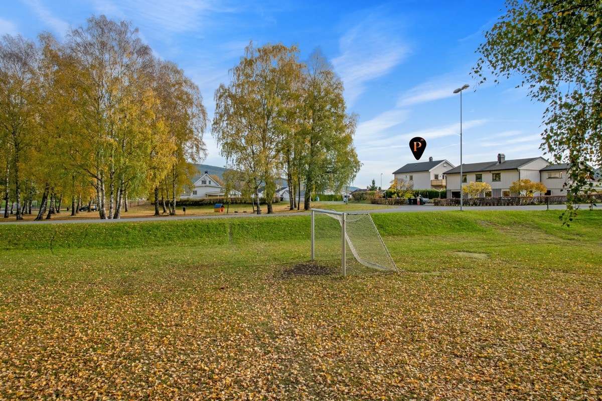 Fotballbane. Galleribilde